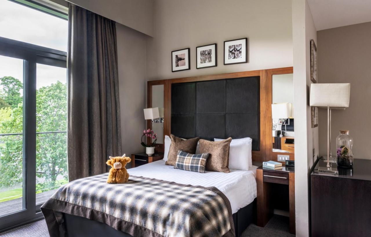 Executive Double Room,1675796878:JPEG